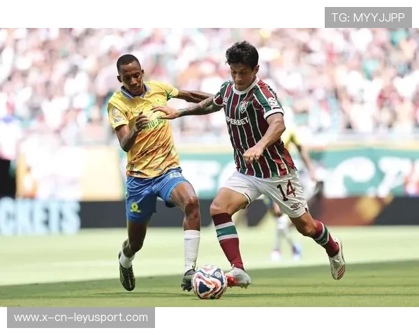 南非队守备出色，展现冠军风范，南非比赛