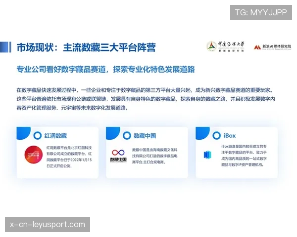 联赛票务平台的二级市场监管与合规建议